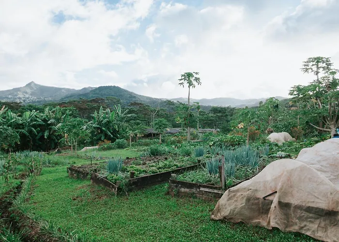 La Vieille Cheminee, Tropical Farm & Eco-Lodges