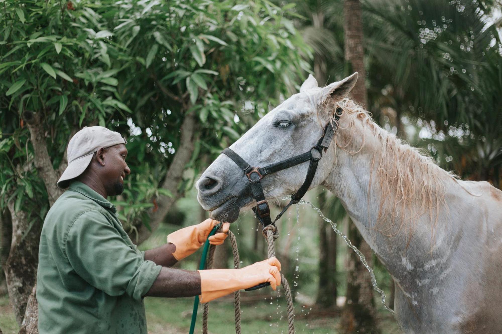 Lodge La Vieille Cheminee, Tropical Farm & Eco-lodges *