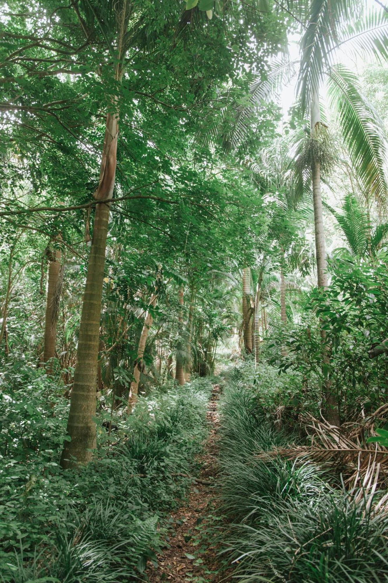 La Vieille Cheminee, Tropical Farm & Eco-lodges Lodge
